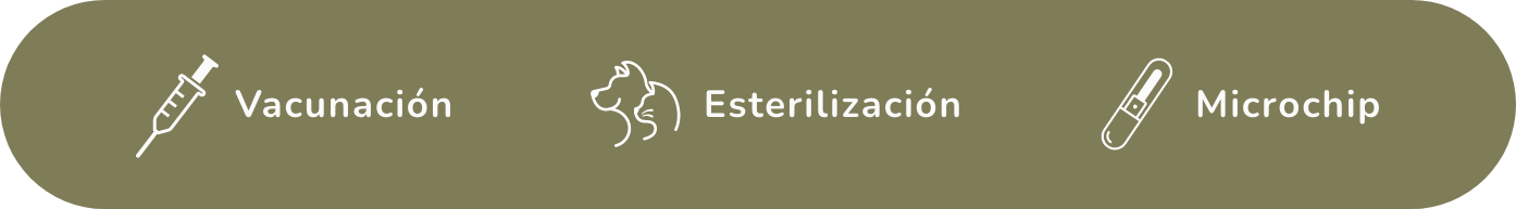 vacunacion_esterilizacion_microchip